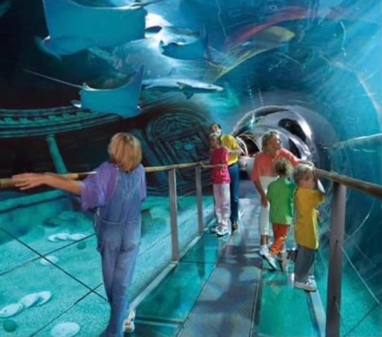 Disney Cocooning A 5 Minutes Du Parc Кувре Екстер'єр фото